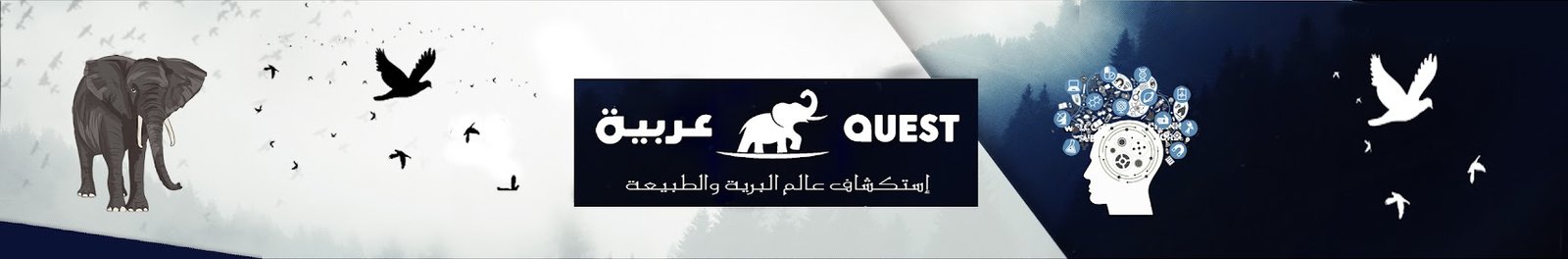 quest.arabiya